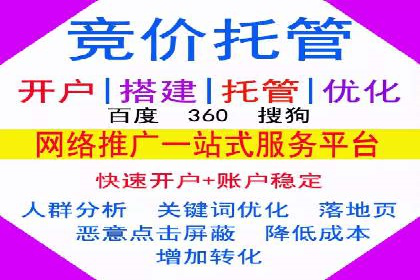谷歌SEM广告策略：某电商平台的成功逆袭案例